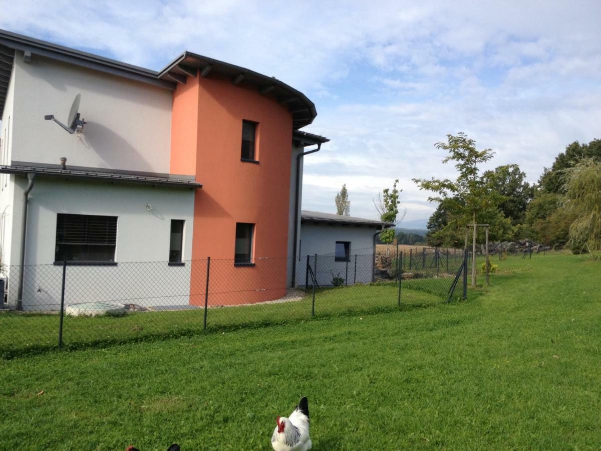 Haus Luna - Privatzimmer Im Sonnigen Suedburgenland Hackerberg 外观 照片